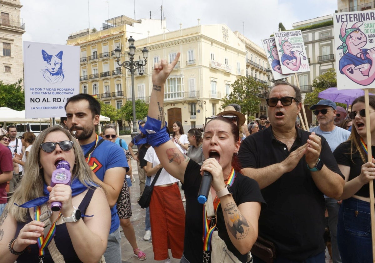 Imagen principal - Más de 400 veterinarios estallan en Valencia contra el Gobierno: «Eso no es velar por el bienestar animal»