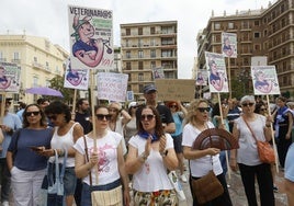 Veterinarios se manifiestan por cuarta vez en Valencia contra la normativa estatal de medicamentos.