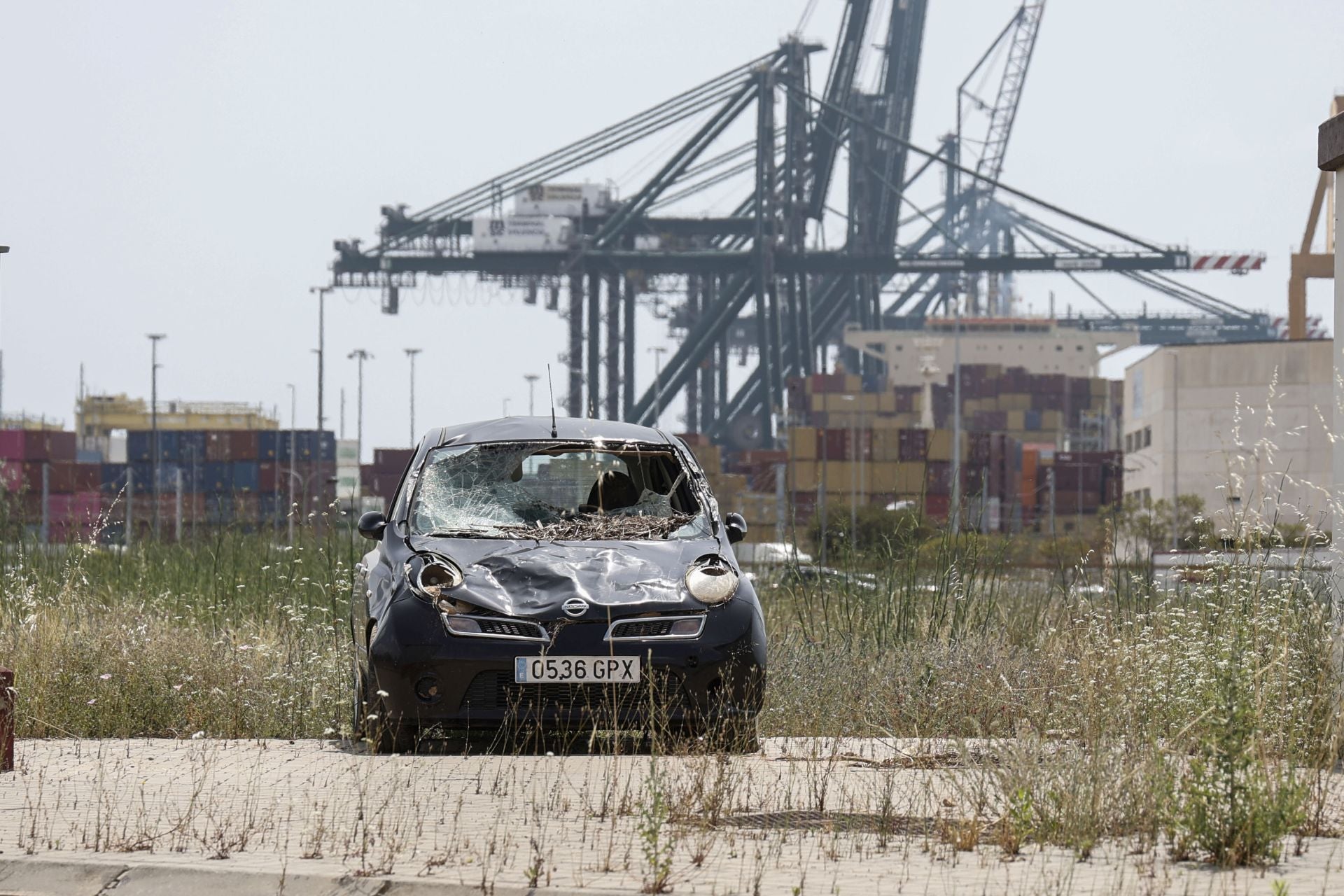 FOTOS | Coches afectados por la DANA, ocho meses después en la ZAL del puerto de Valencia