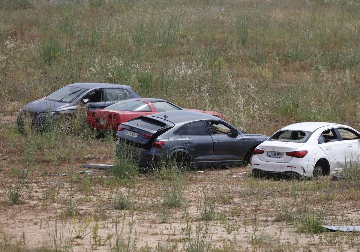 FOTOS | Coches afectados por la DANA, ocho meses después en la ZAL del puerto de Valencia