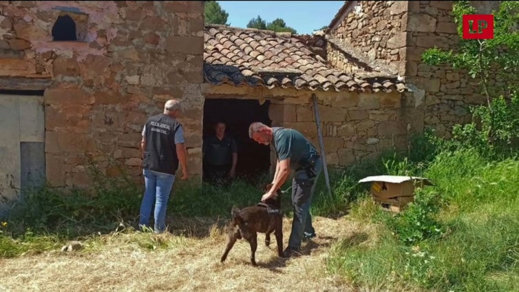 Testimonio víctima del Rambo de Requena