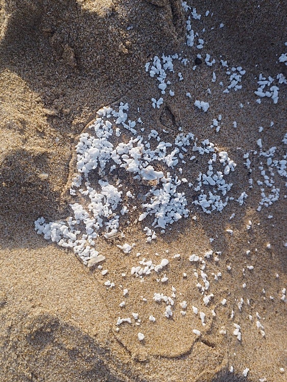 ¿Qué es el material de color blanco que ha aparecido en las playas de la Safor?