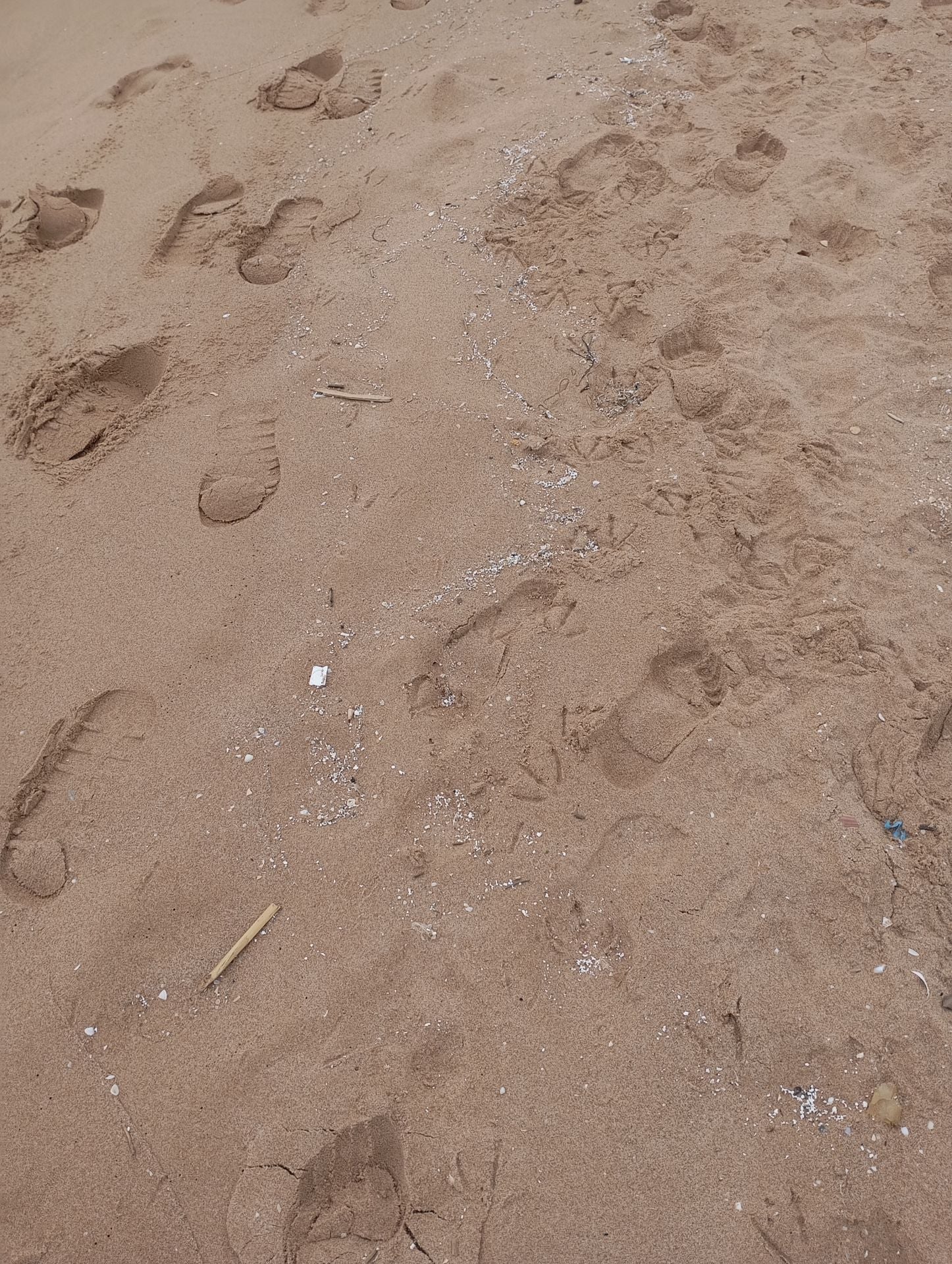 Siete playas de la Safor siguen cerradas a la espera de los resultados de los análisis del vertido