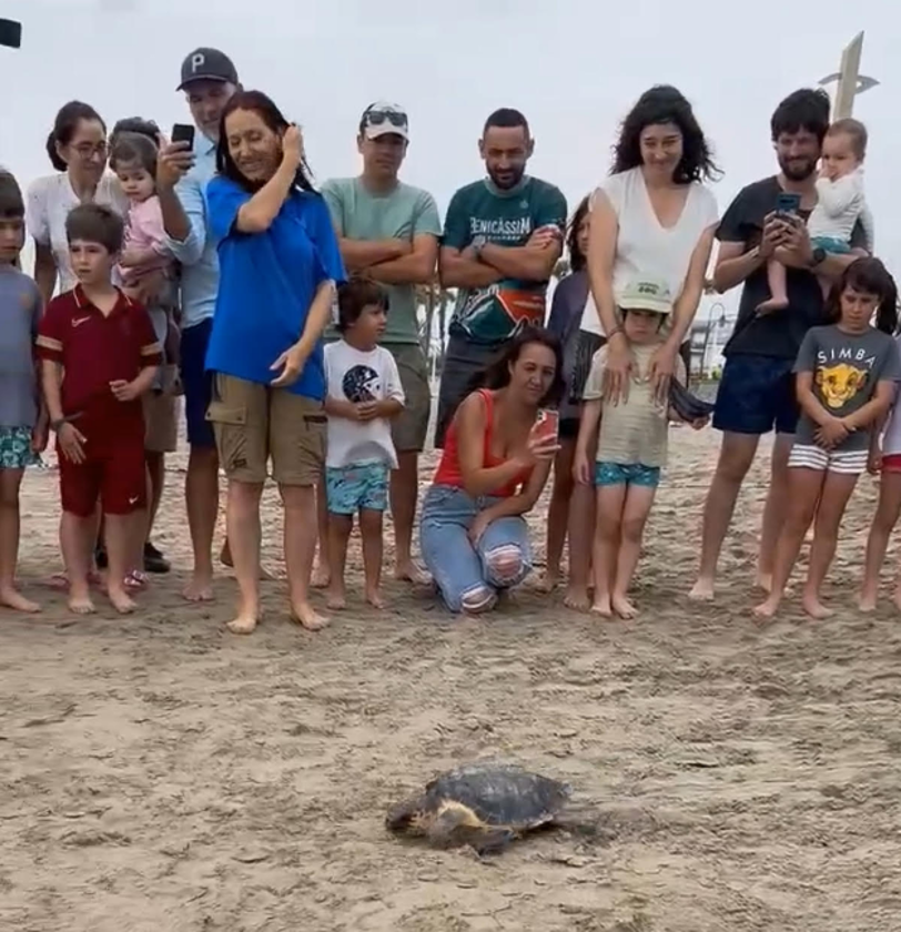 Benicàssim cierra su semana del Medio Ambiente con la suelta de una tortuga marina en una jornada familia al sur de la localidad