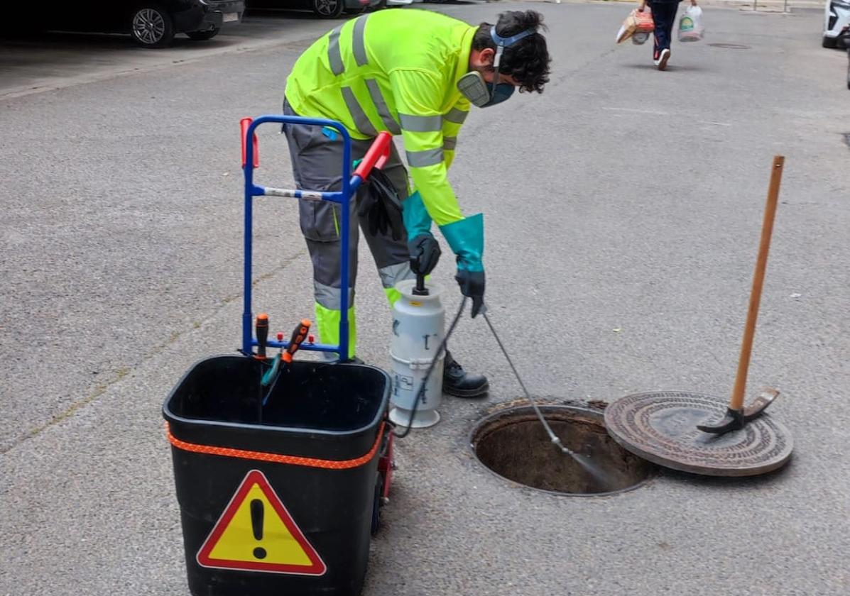 Paterna intensifica los tratamientos para el control de plagas en todo el término municipal