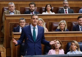 Pedro Sánchez, este miércoles en el Congreso de los Diputados.
