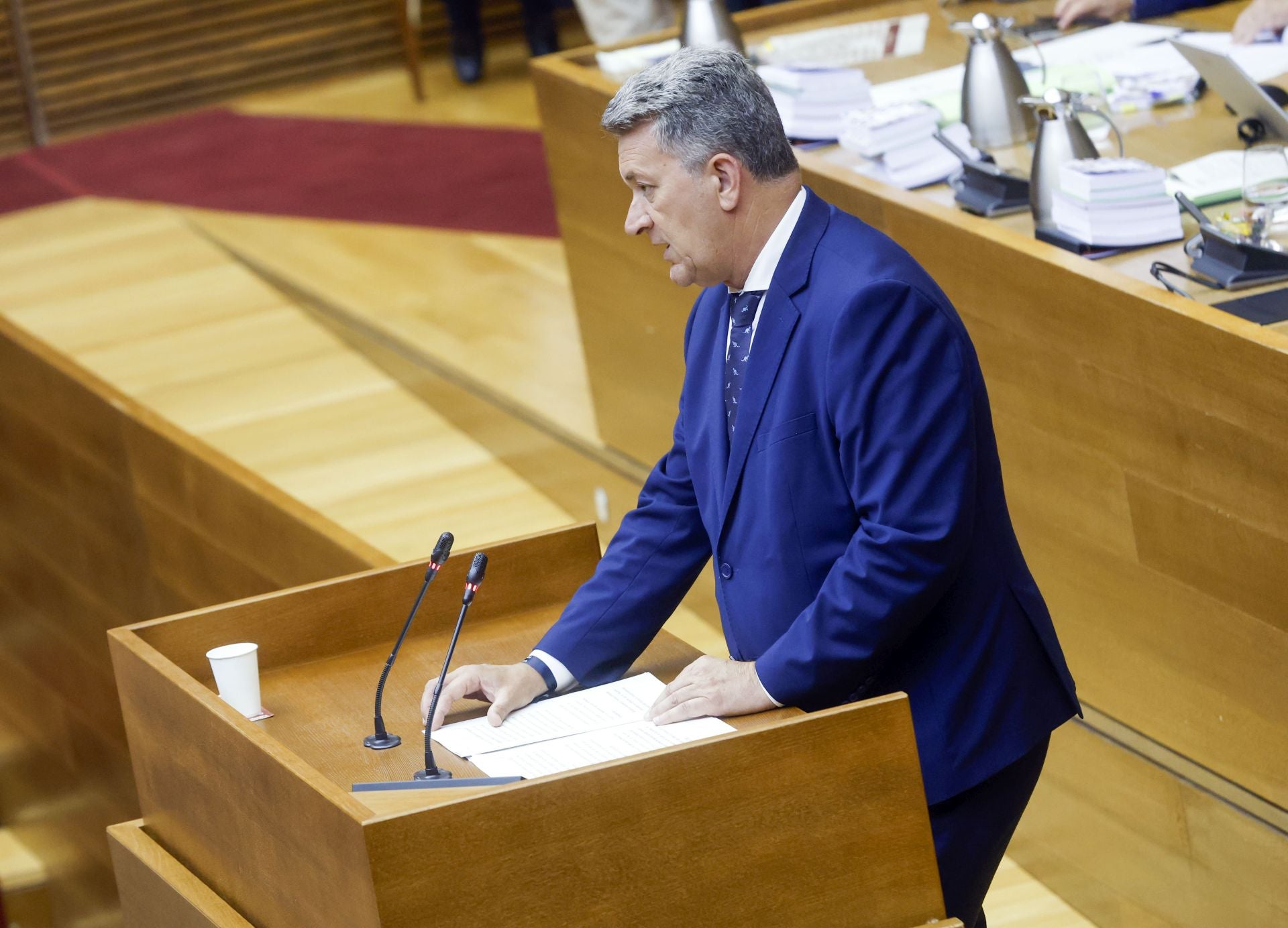 Fotos del pleno de les Corts (11 de junio de 2025)