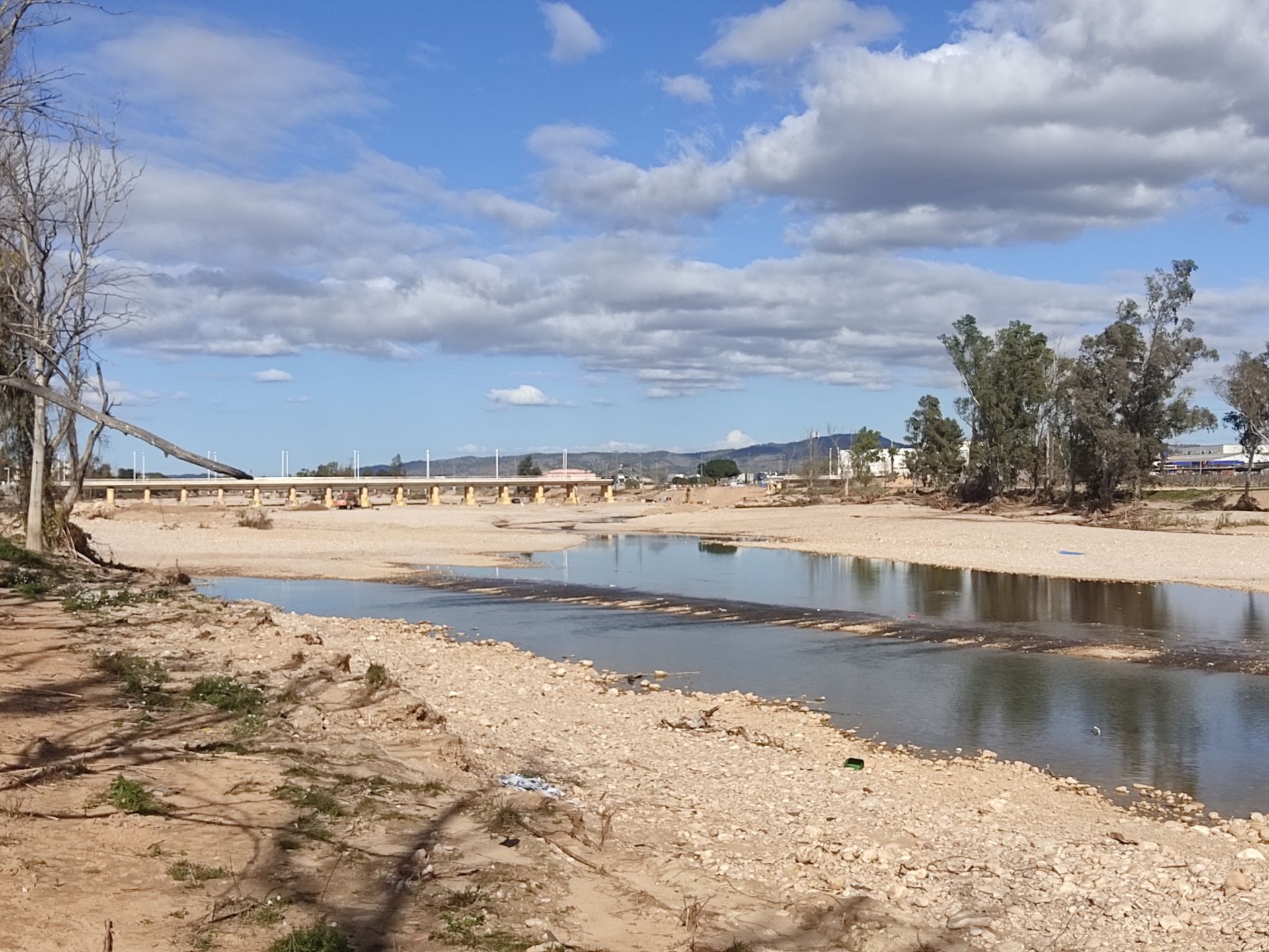 Un estudio de las tortugas autóctonas del río Magro analizará la incidencia de la dana en la especie | Las Provincias