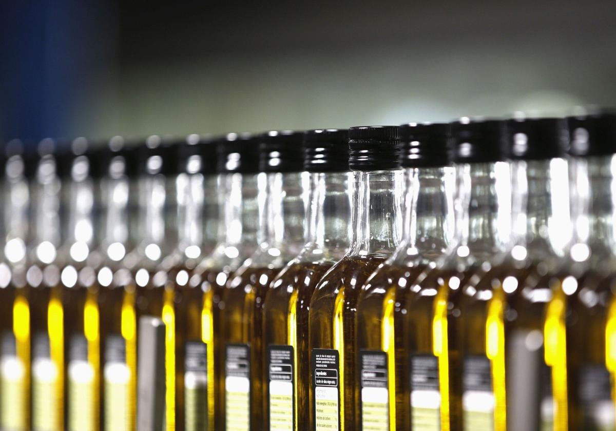 Varias botellas de aceite de oliva virgen extra en una imagen de recurso.
