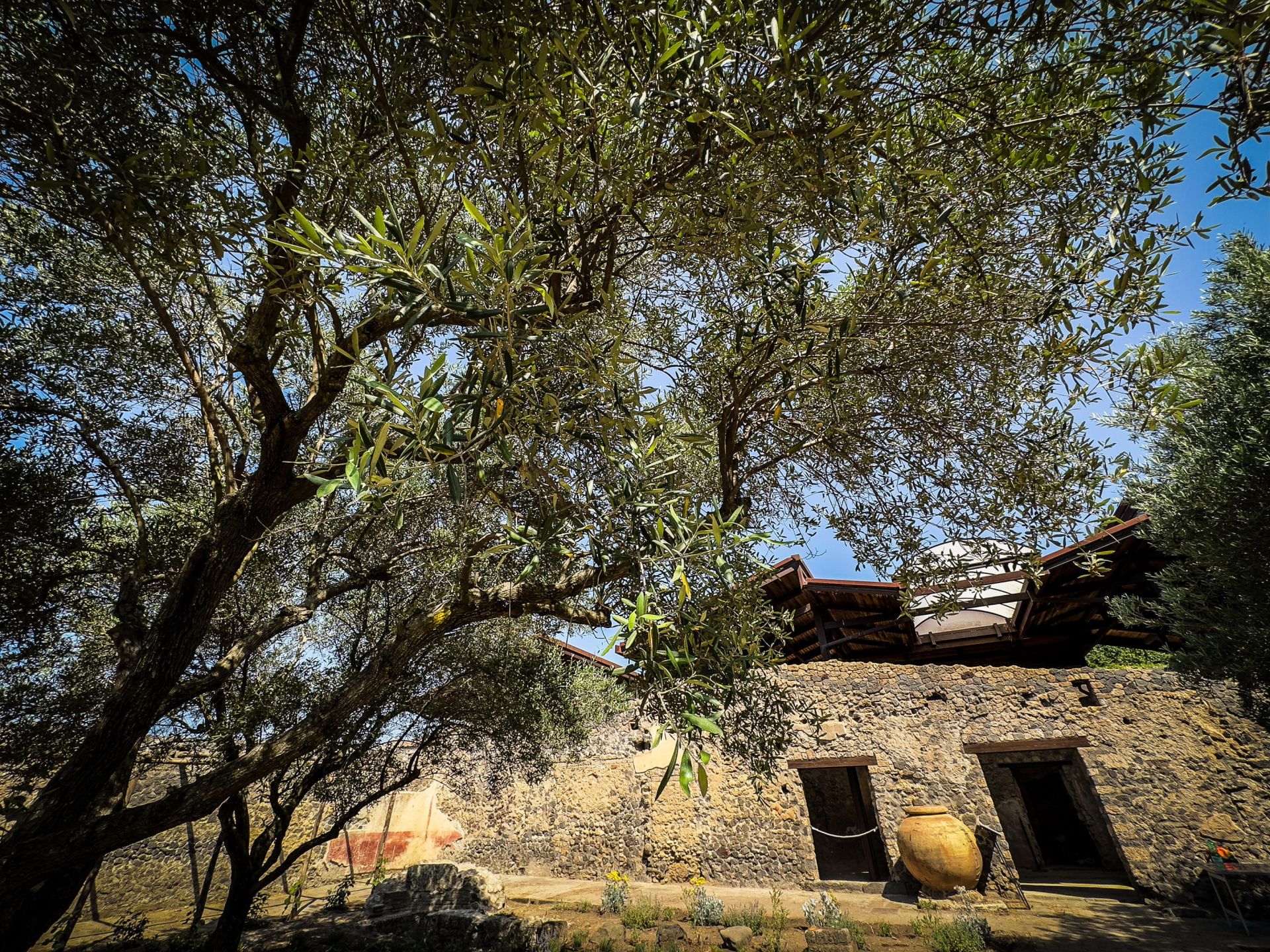 Renace la Casa Jardín de Hércules en Pompeya