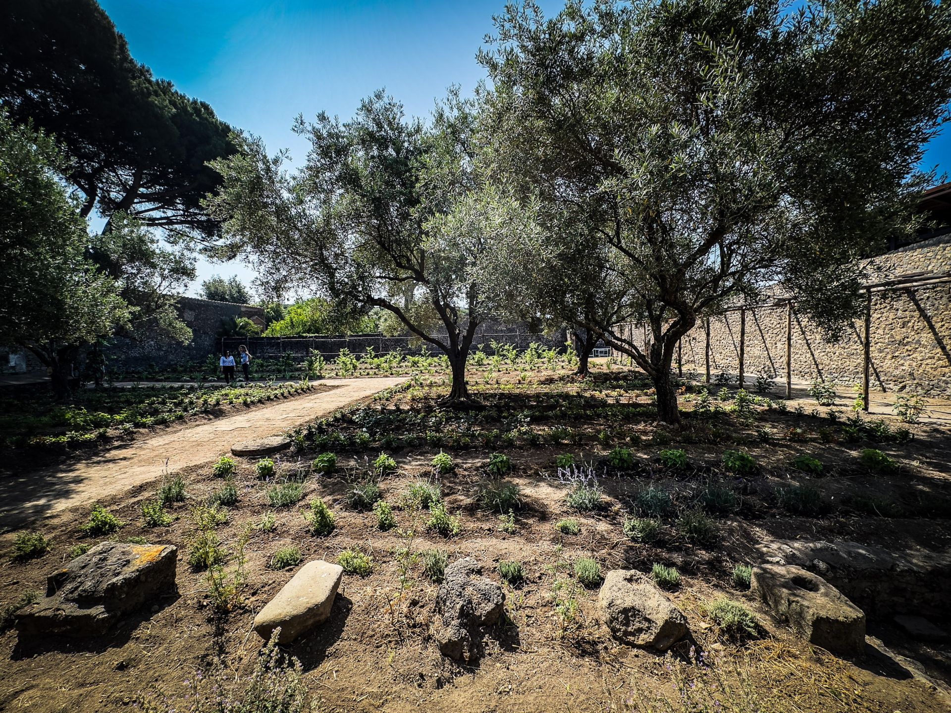 Renace la Casa Jardín de Hércules en Pompeya