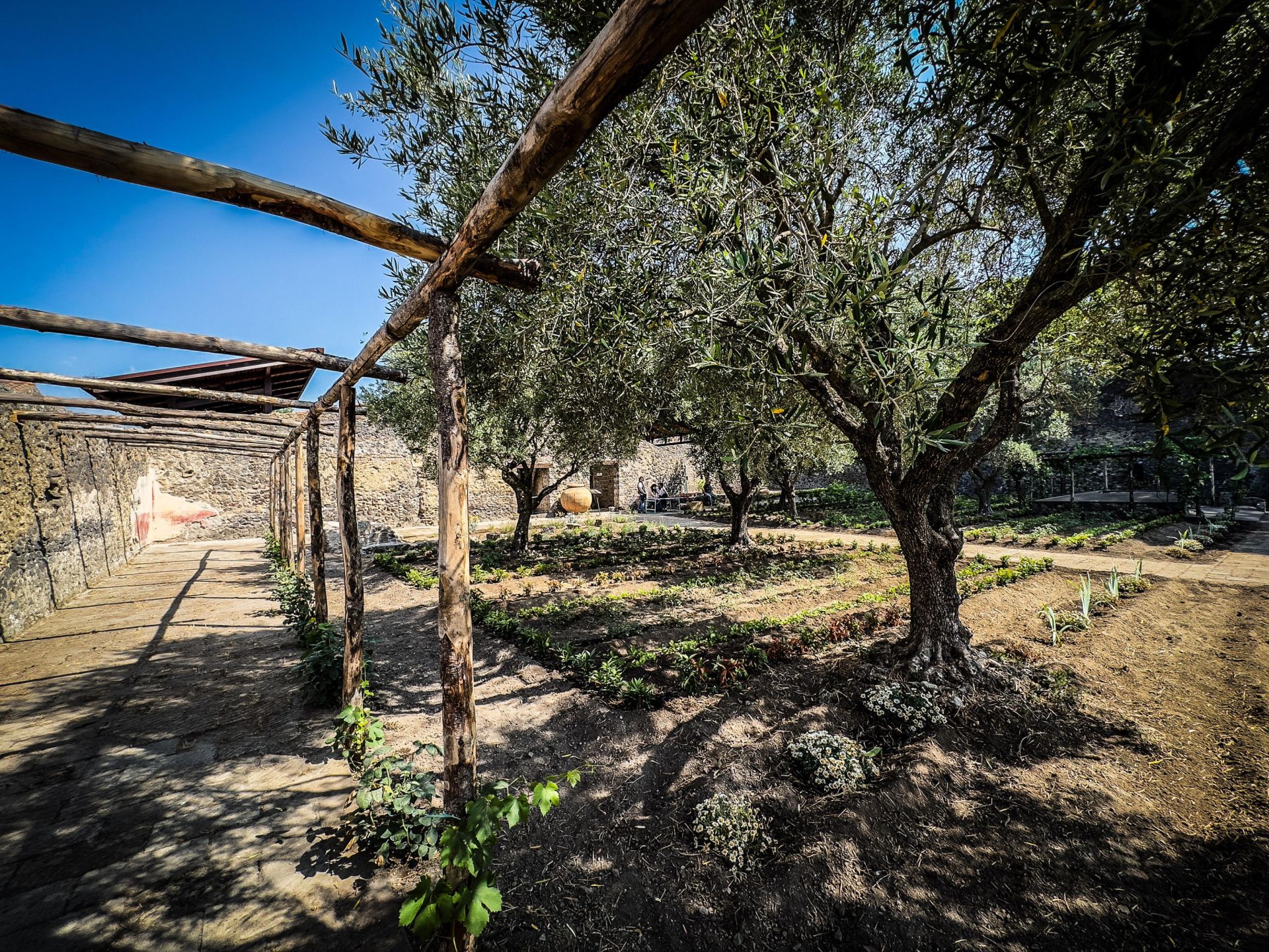 Renace la Casa Jardín de Hércules en Pompeya
