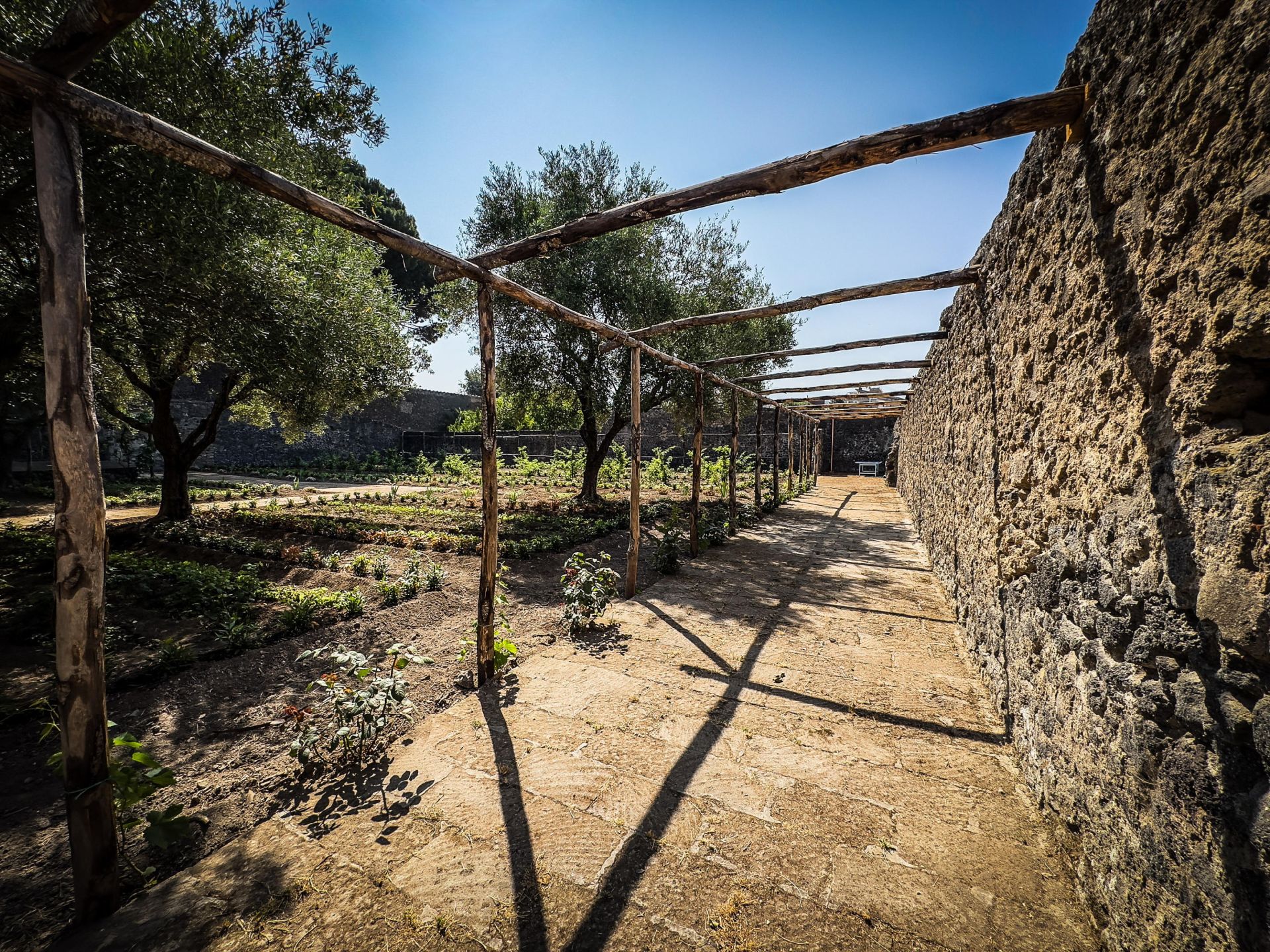 Renace la Casa Jardín de Hércules en Pompeya