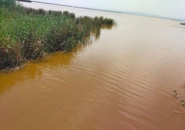 Vista de la Albufera de color anaranjado.