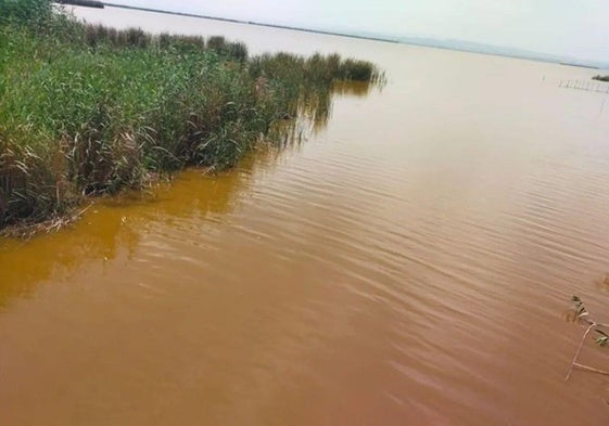 Vista de la Albufera de color anaranjado.