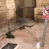 Excrementos en los alrededores de la Catedral de Valencia.