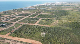 Burriana logra el informe Ambiental favorable para Sant Gregori