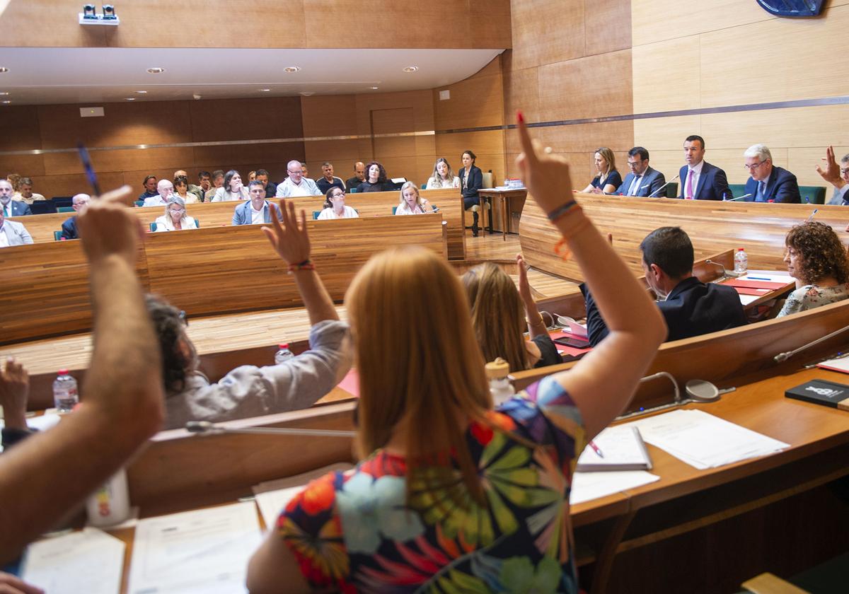 Pleno de la Diputación.