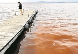 Tono rojizo que han adquirido las aguas de la Albufera.