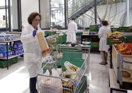 Voluntarios de Casa Caridad preparan paquetes de comida.