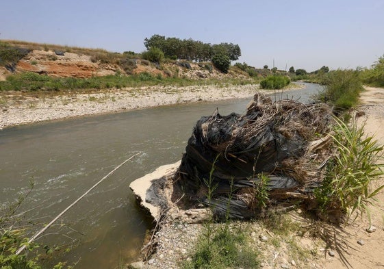 El río Turia, a su paso por Riba-roja.