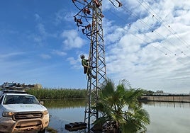 A pesar de la complejidad, i-DE sigue realizando labores de mantenimiento para minimizar molestias y preservar suministro y ecosistema.