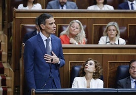 Sánchez, en el Congreso.