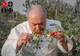 El chef Miguel Barrera en su propio campo de tomates, producto emblemático de la provincia.