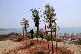 Nuevo mirador en Cullera.