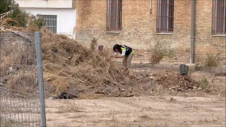 Encuentran un cadáver calcinado en la Malvarrosa