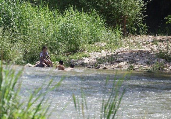 Un grupo de niños se baña en el Turia.