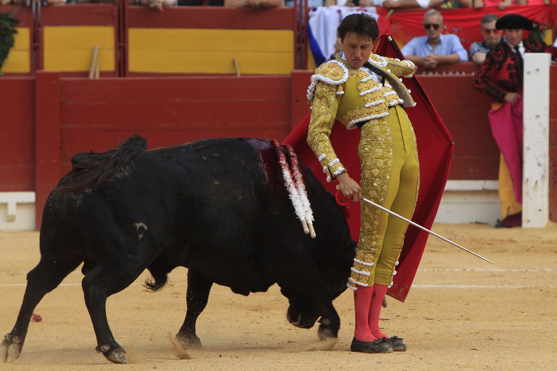 FOTOS | Toros en Alicante: Roca Rey, Manzanares y Navalón