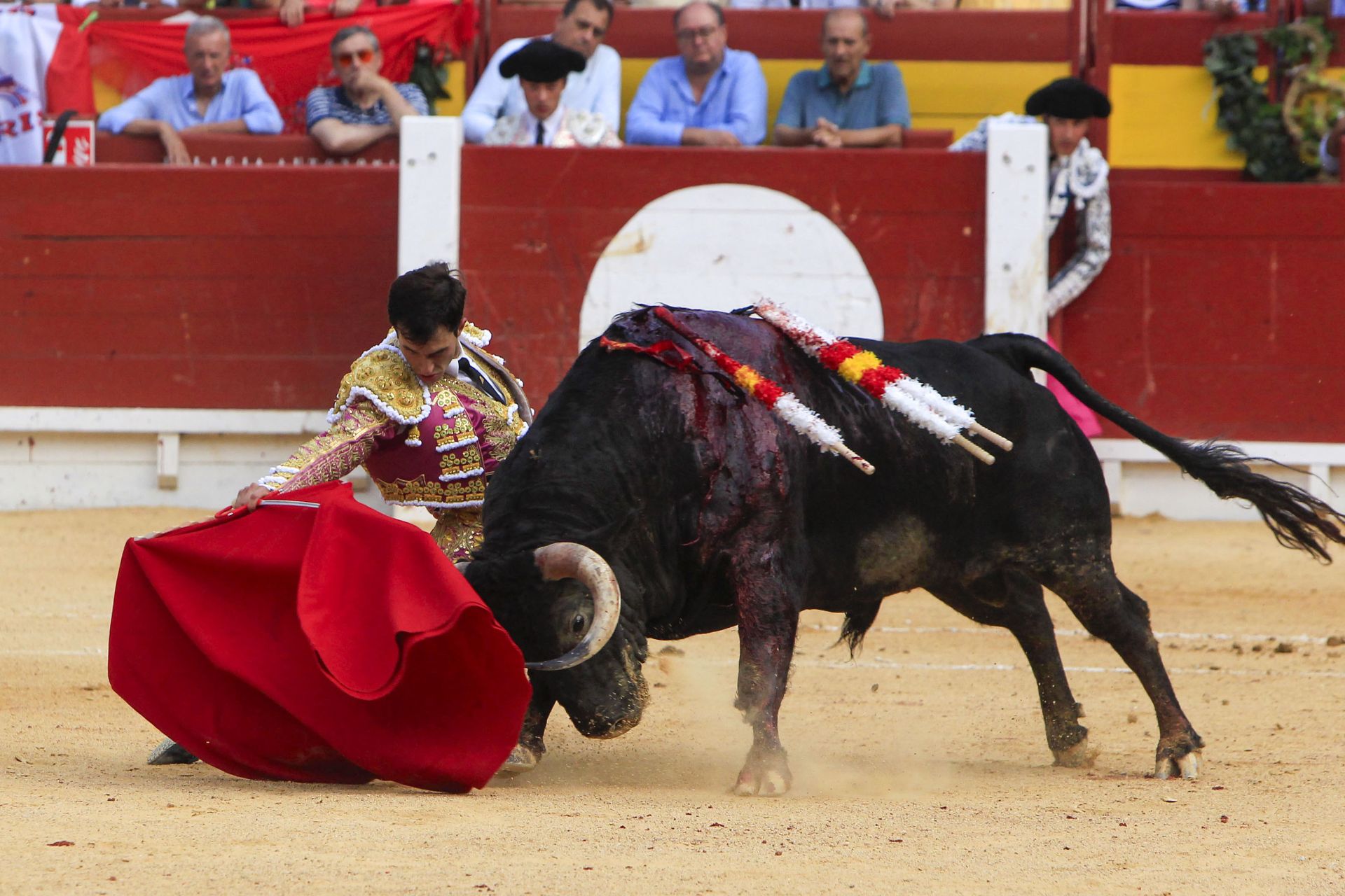 FOTOS | Toros en Alicante: Roca Rey, Manzanares y Navalón