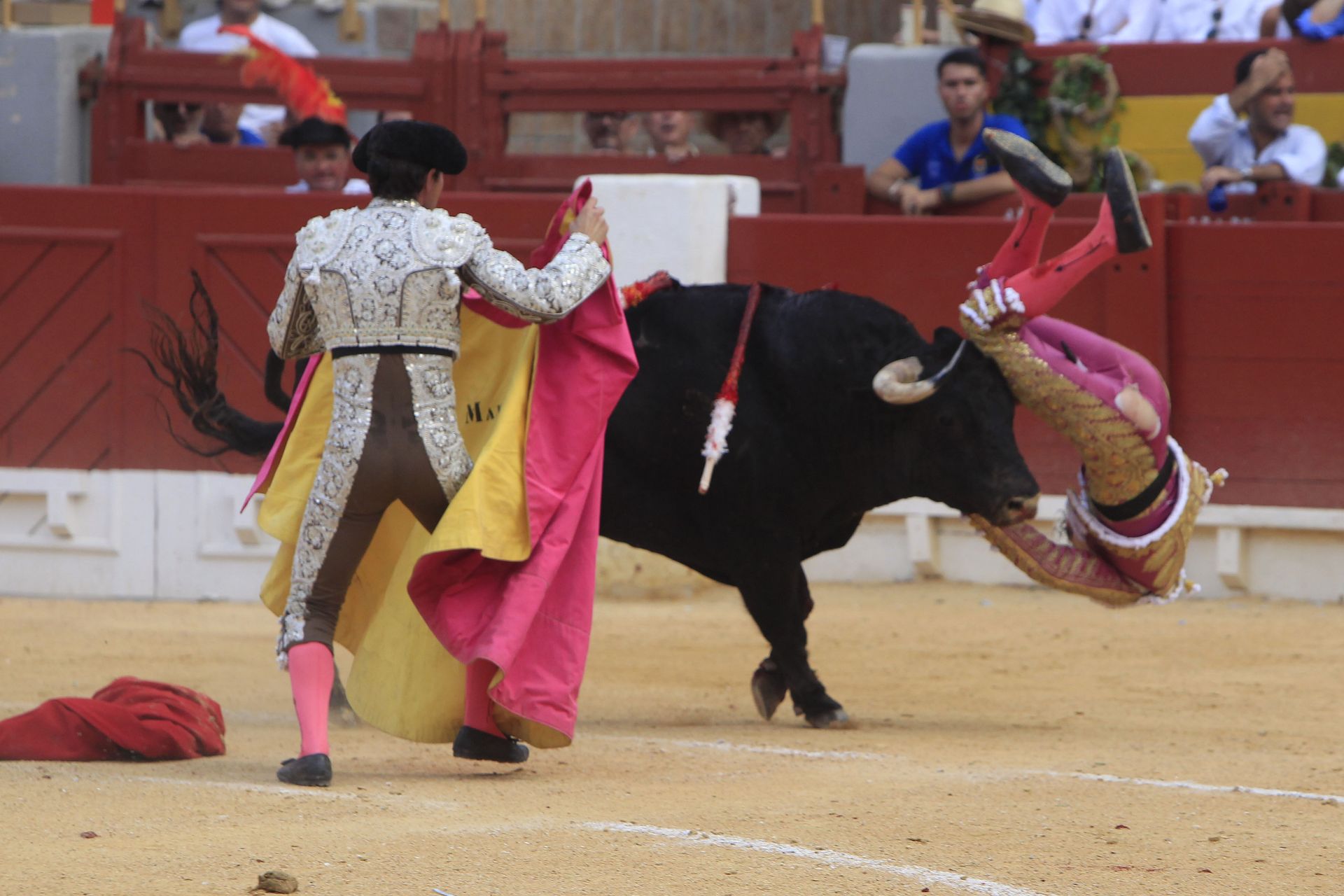 FOTOS | Toros en Alicante: Roca Rey, Manzanares y Navalón