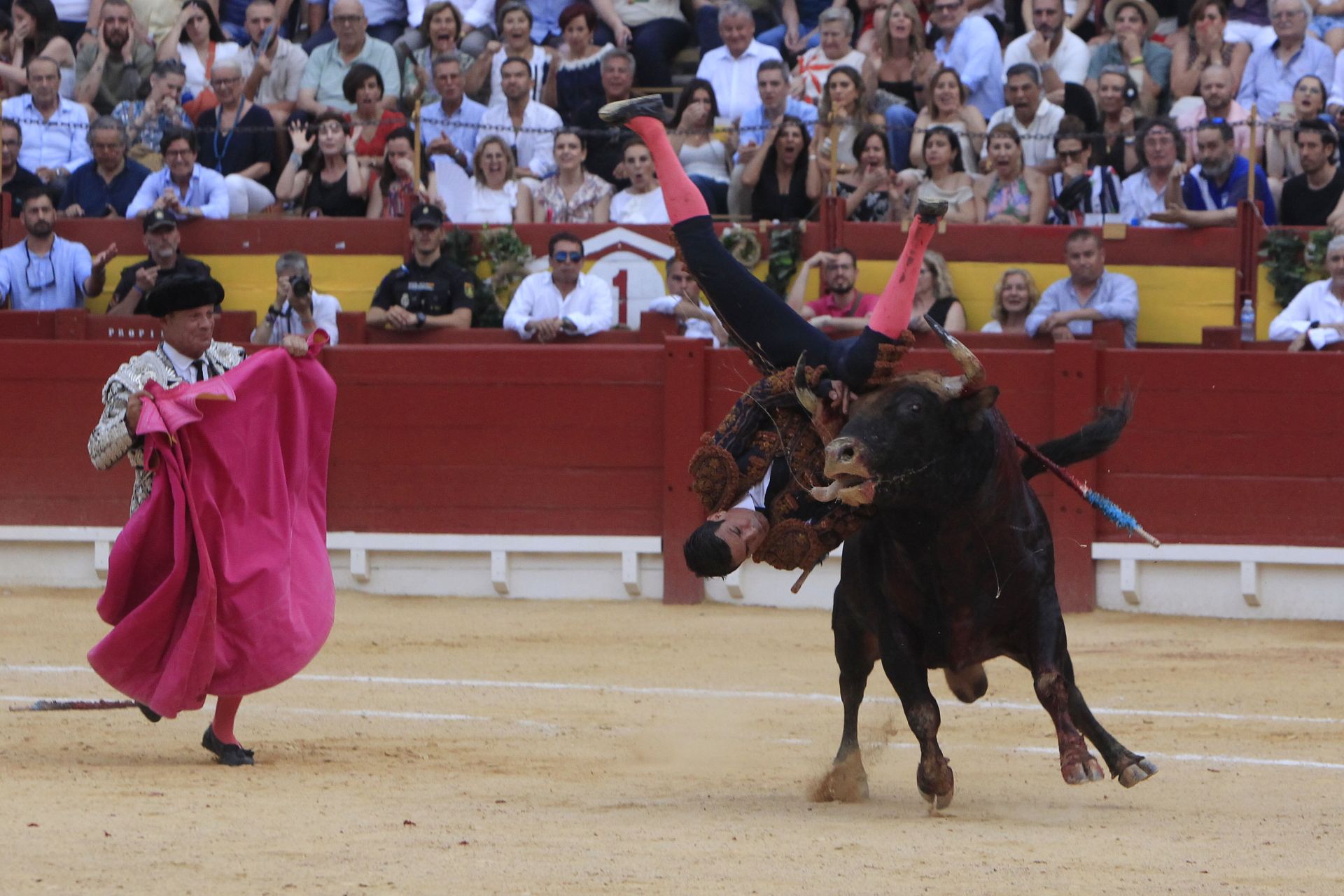 FOTOS | Toros en Alicante: Roca Rey, Manzanares y Navalón