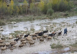 El río Bergantes a su paso por Forcall.