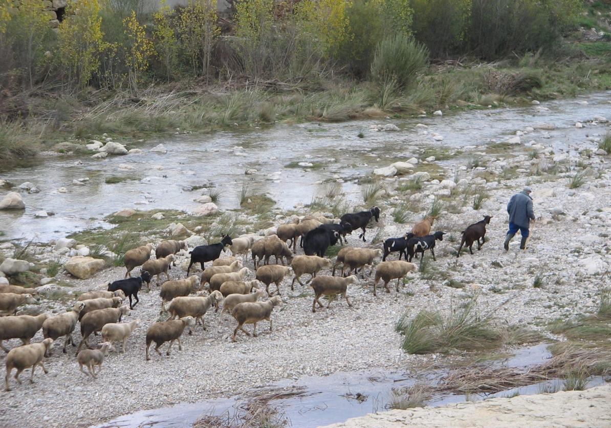 El río Bergantes a su paso por Forcall.