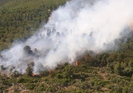 Un incendio en Bocairent obliga a movilizar siete medios aéreos