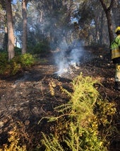 Conato de incendio en la Barraca.