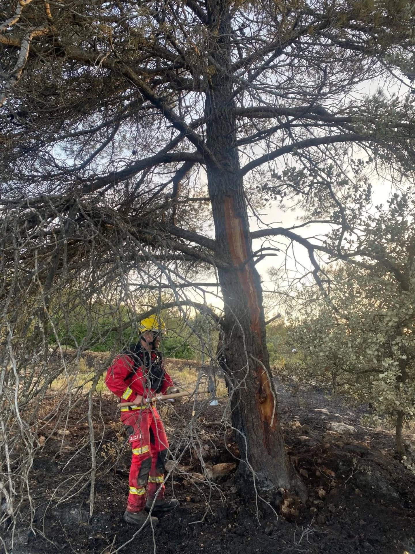 Tronco en el que impactó el rayo que ha provocado el incendio.