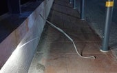 Tira de luces led arranda del puente en Canals.