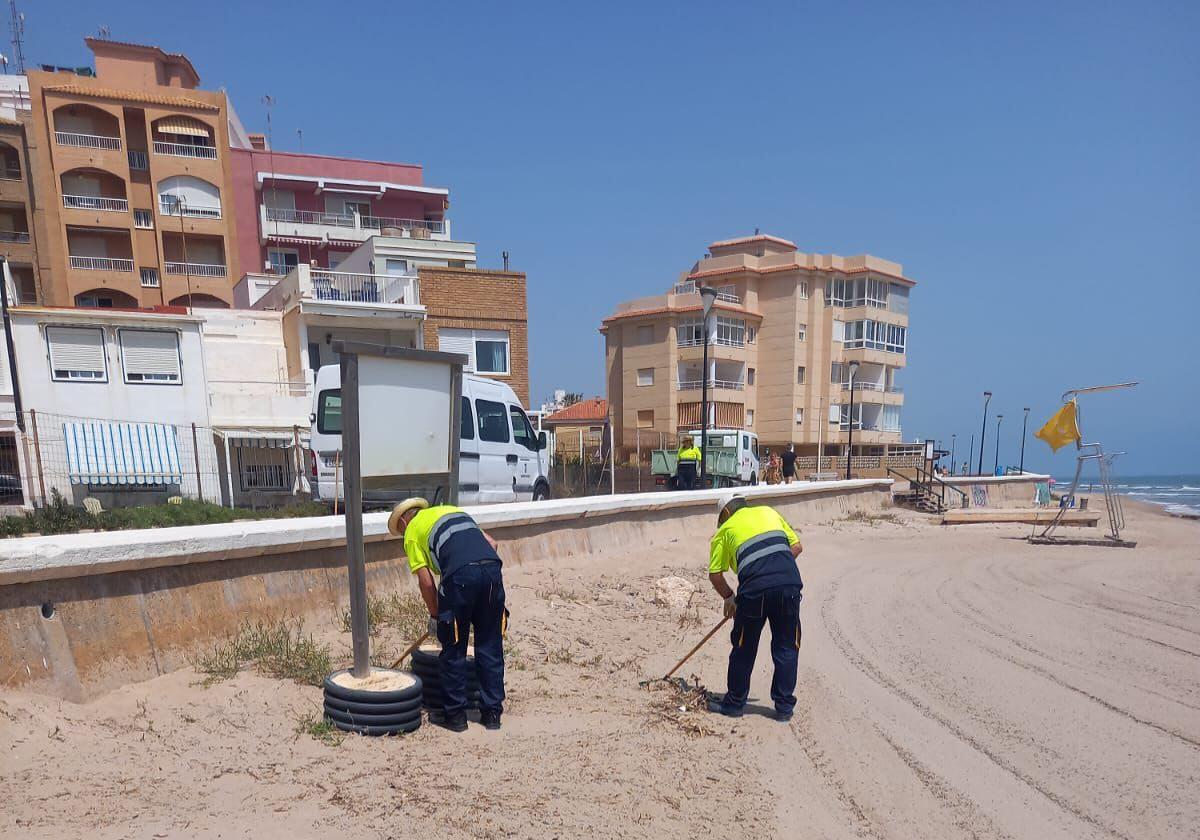 Trabajadores en una de las playas de Sueca.