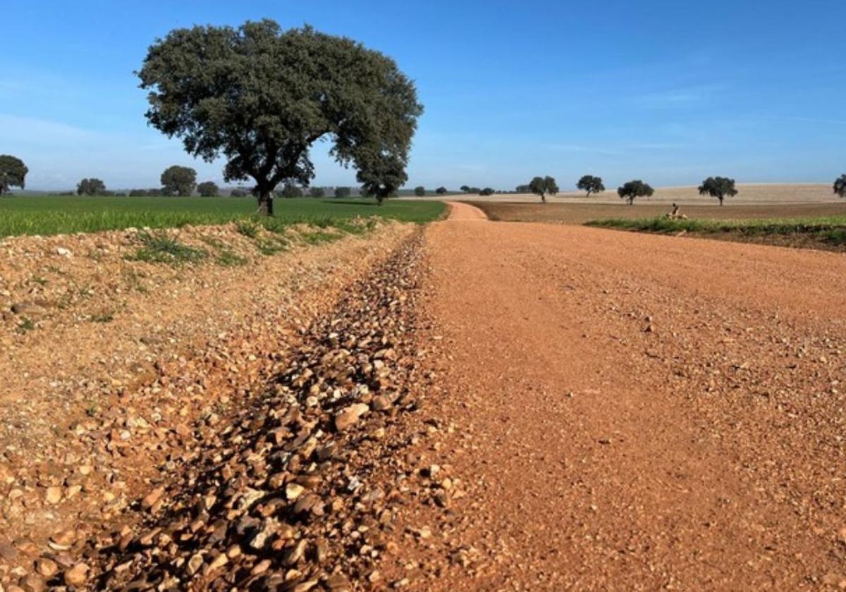 Imagen de archivo de un camino rural.