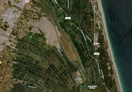 Imagen satélite de los arrozales de la Albufera.