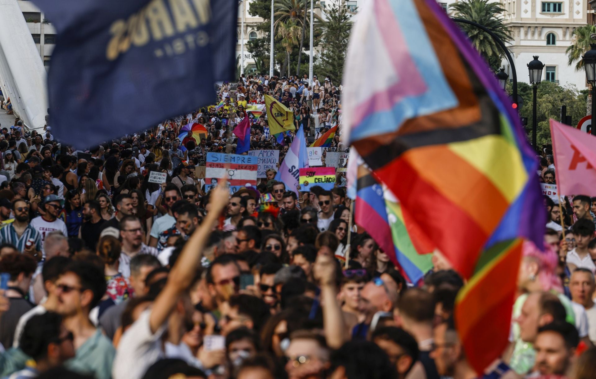 FOTOS | Manifestación del Orgullo 2025 en Valencia