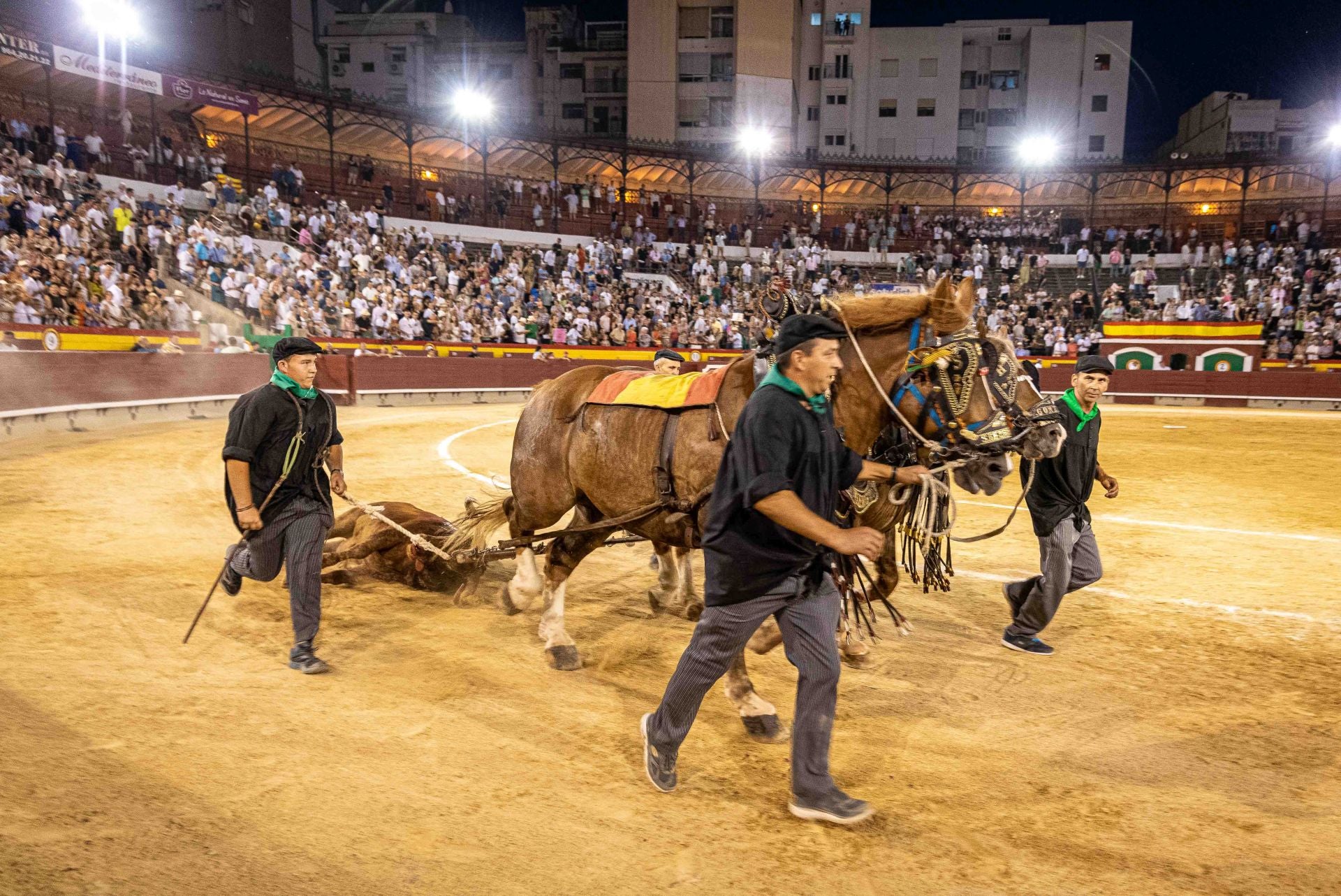 La plaza de toros de Castellón se viste de gala en su homenaje a Manuel Colonques