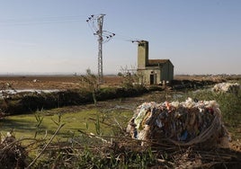 Devastación de la riada en la Albufera.