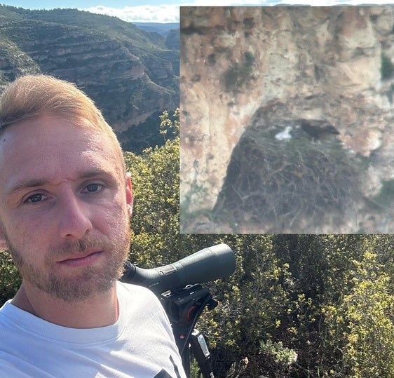 Juanjo desde su observatorio y arriba a la derecha, detalle del nido con el polluelo.