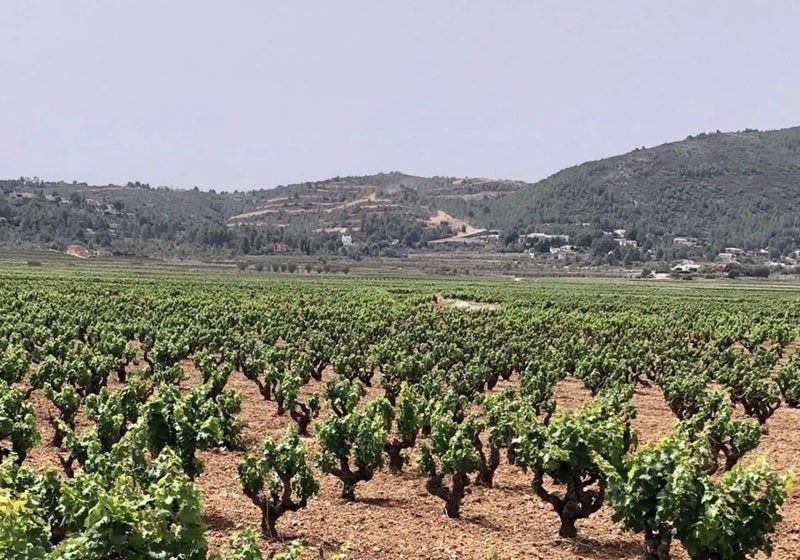 Al fondo, la montaña donde se ejecuta el PAI Medina Llíber.