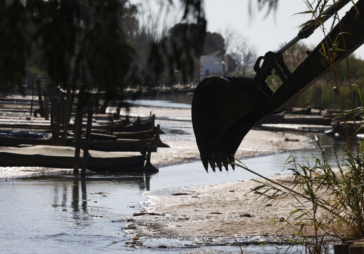Trabajos en la Albufera.